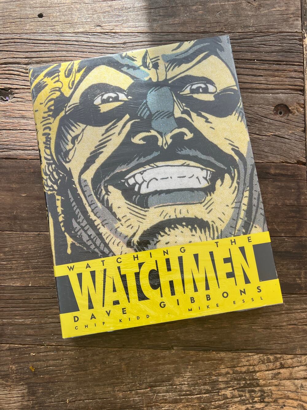 Watching the Watchmen The Definitive Companion to the Ultimate Graphic Novel JL